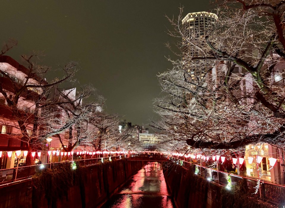 現在のご様子を✿の画像